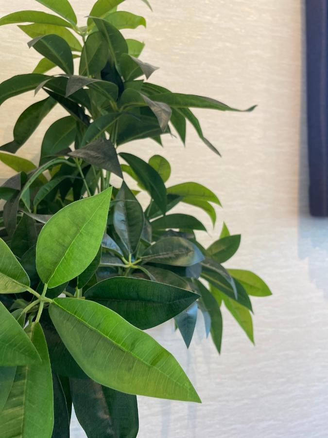 Niseko Hotel Kiraku Kou Eksteriør billede